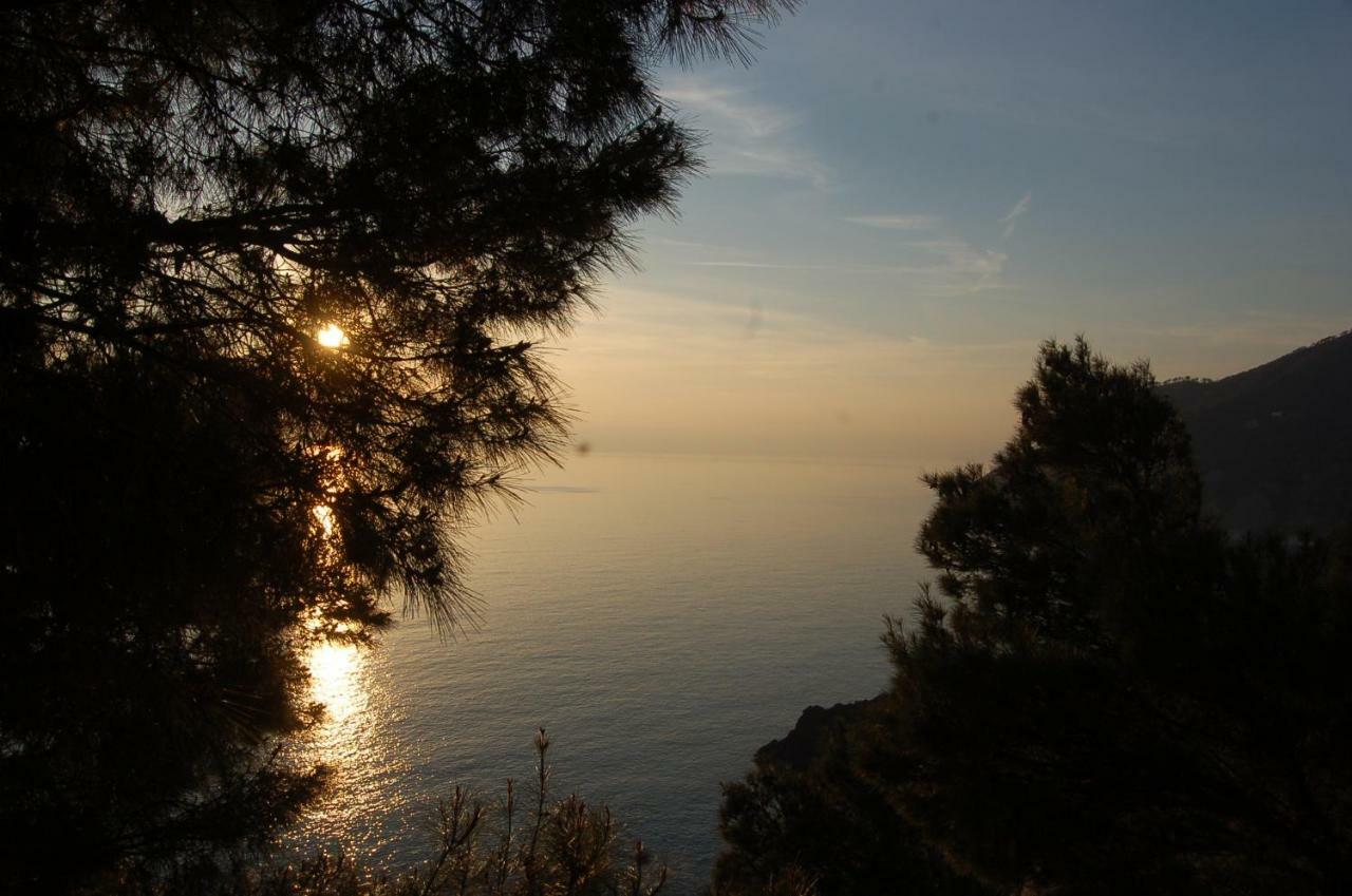 Apartament Cinqueterre National Park Sea View Framura Zewnętrze zdjęcie